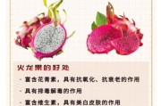 高原火龙果怎么种_高原火龙果营养价值
