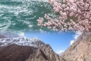 帕米尔高原春天什么时候去_帕米尔高原春天有哪些花
