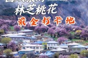 高原桃花源门票多少钱_高原桃花源门票优惠政策