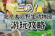北京动物园门票多少钱_2024最新价格