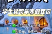 冰雪主题民宿哪家好_冰雪主题民宿价格贵吗