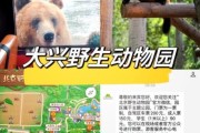 北京野生动物园门票价格_怎么买便宜