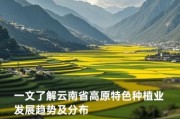 云贵高原气候特点_适合种什么作物