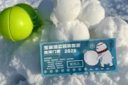 冰雪游乐场门票多少钱_冰雪游乐场怎么玩