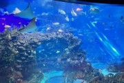 北京海洋馆在哪里_北京海洋馆怎么走