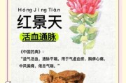 高原红景天有什么功效_怎么吃效果最好