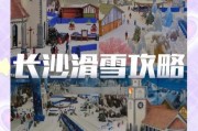 重庆冰雪欢乐城门票价格_重庆冰雪欢乐城在哪里