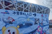 鸟巢冰雪节团购怎么买_团购票价格多少