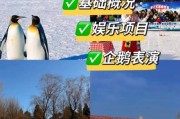 台儿庄水上冰雪乐园门票多少钱_冬天能玩什么