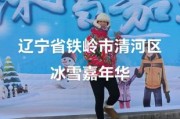 铁岭冰雪嘉年华门票多少钱_怎么玩最省钱