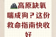 高原反应喘不过气怎么办_高原反应喘不过气如何缓解
