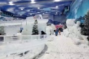 泰州冰雪科幻主题乐园门票价格_游玩攻略