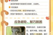 户外遇到野猪怎么办_野猪攻击人怎么躲避