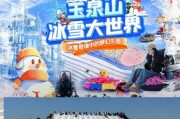 泉城冰雪惠民怎么玩_泉城冰雪惠民门票多少钱