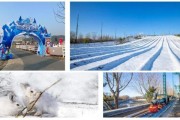 南宫冰雪嘉年华2日游多少钱_怎么玩最划算