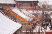 北京雪景哪里最美_如何拍出故宫雪景大片