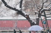 北京会下雪吗_北京什么时候下雪