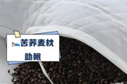 高原红苦荞枕真的有用吗_高原红苦荞枕适合哪些人