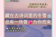 冰雪封诗词怎么写_冰雪封诗词创作技巧