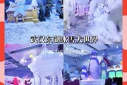 武汉冰雪奇缘在哪里_武汉冰雪奇缘门票多少钱