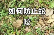 户外防蛇穿什么鞋_被蛇咬了怎么办