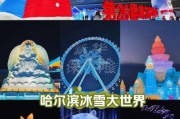 合肥冰雪奇缘门票价格_合肥冰雪奇缘在哪