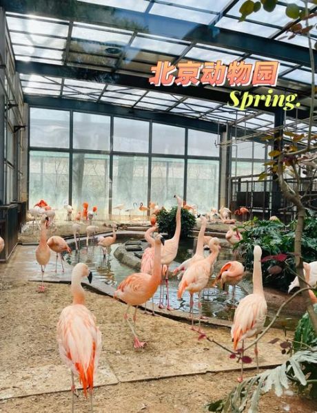 北京有几个动物园_北京动物园哪个最好玩