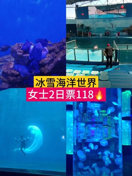 石林冰雪海洋世界值得去吗_门票价格多少钱