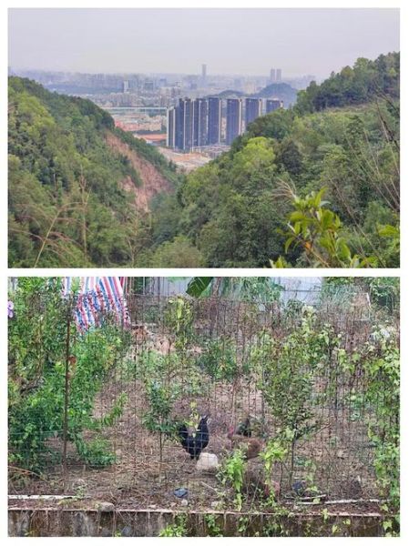 中山户外网_周末去哪爬山