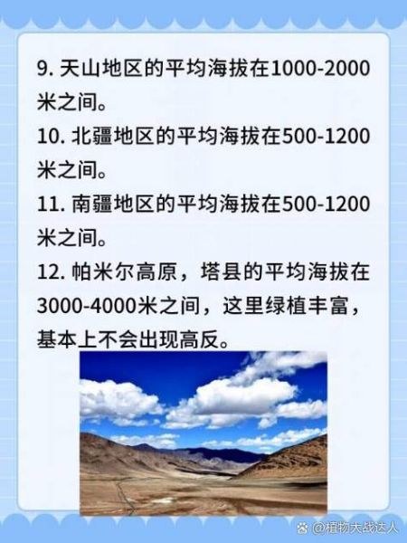 新疆是高原地区吗_新疆平均海拔多少米