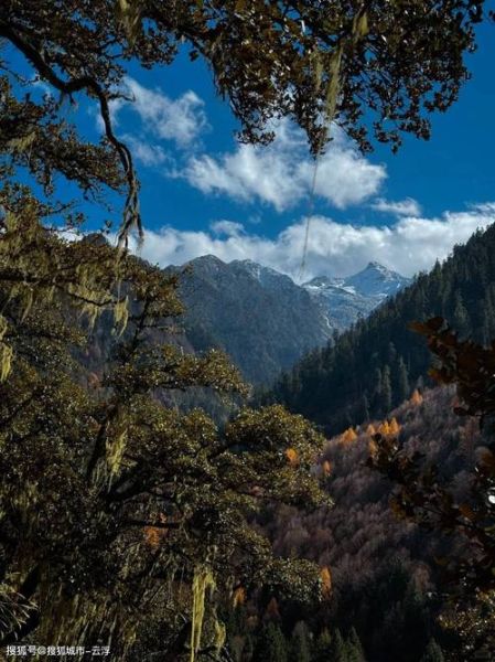 林芝高原反应怎么办_去林芝如何预防高反