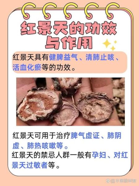 高原红景天副作用有哪些_红景天胶囊吃了会上火吗
