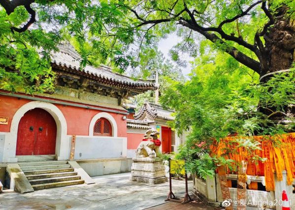 北京戒台寺门票多少钱_戒台寺开放时间