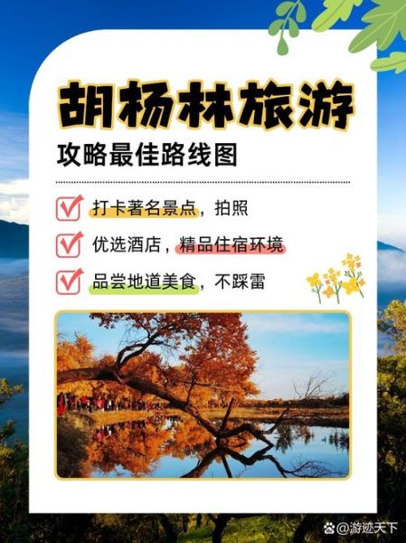 胡杨树高原在哪里_高原胡杨林最佳观赏时间