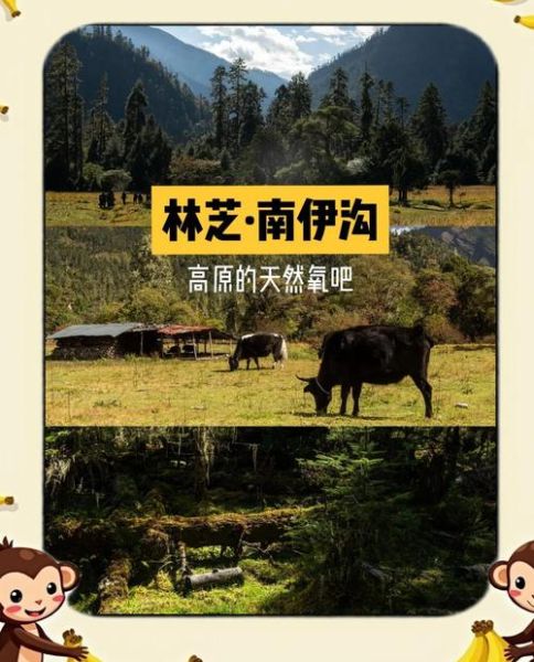 高原氧吧有什么作用_高原氧吧适合哪些人