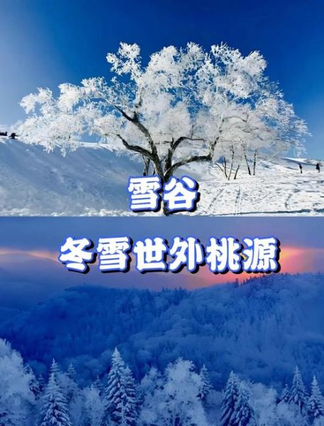 寒谷冰雪是什么_寒谷冰雪旅游攻略