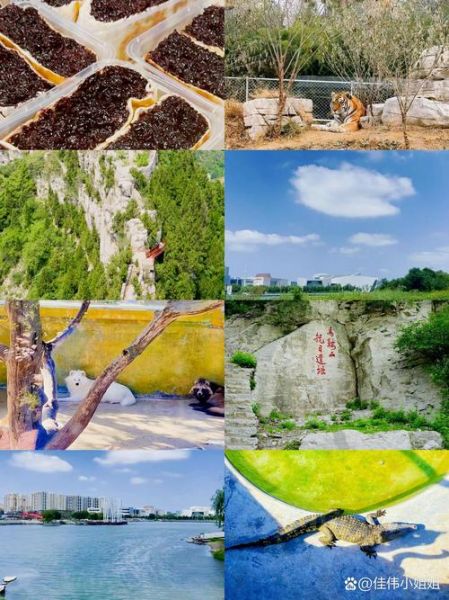 淄博陶然山水户外怎么走_门票多少钱