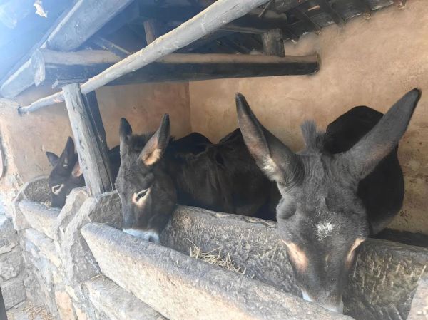 梦驴户外怎么样_梦驴户外靠谱吗