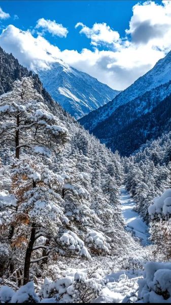 冰雪大自然_如何拍摄绝美雪景