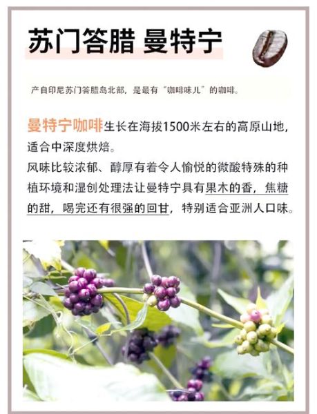 贵阳高原咖啡哪里好喝_高原咖啡豆怎么选