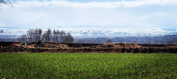 高原春天什么时候来_高原春天有哪些独特景观