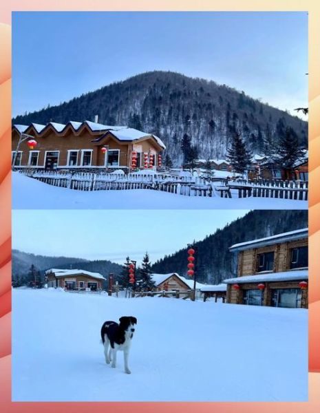 青岛极地雪乡冰雪奇缘门票多少钱_怎么去最方便