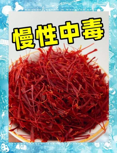 藏红花缓解高原反应有用吗_藏红花抗高反怎么吃