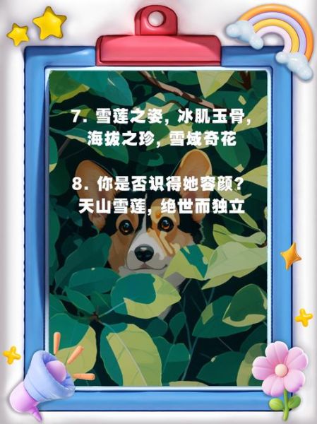 冰雪玉洁是什么_冰雪玉洁的功效与作用