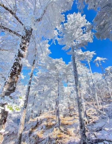 宜家冰雪世界门票多少钱_怎么玩最划算