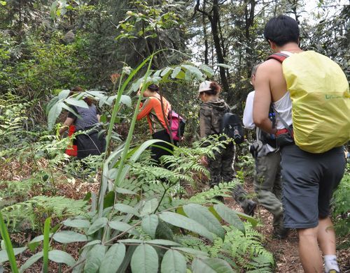 8264户外论坛aa是什么_如何快速找到靠谱攻略