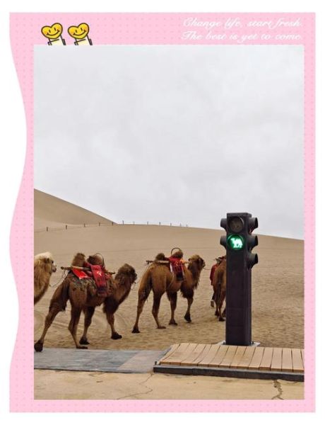 沙漠骆驼户外_如何安全骑行骆驼