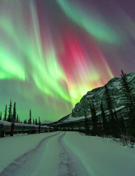 北极光什么时候出现_极光最佳观赏地点