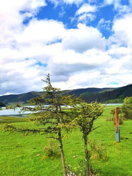 普达措高原反应怎么办_如何预防普达措高反