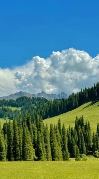 高原风景怎么拍_高原风景摄影技巧